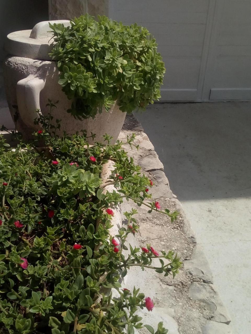 Villa Ana Zivogosce-Apartment4 المظهر الخارجي الصورة